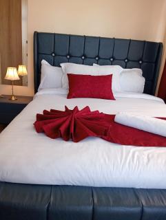 ZenDen Escape 2Br Exec - Nakuru - 4