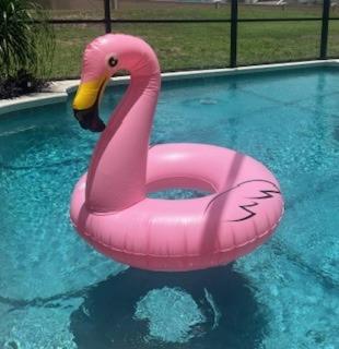 Luxury Villa - 75 inch smart TV, Upgrades throughout! 20 minutes to Disney - Davenport - 4