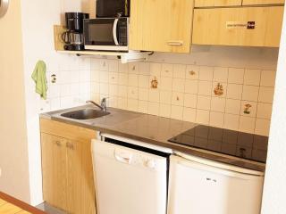 2 pièces pied des pistes avec balcon - Résidence Cabris - FR-1-557-2 - 1