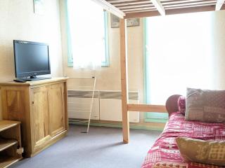 Studio confortable avec balcon et casier à skis - FR-1-557-111 - Les Adrets - 8