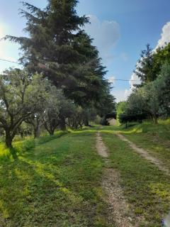 Casa Rosetta - - 1