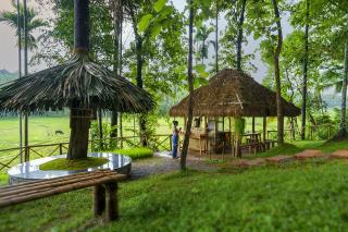 Crystal Kuruva Nature Resort & Spa - Wayanad - 2