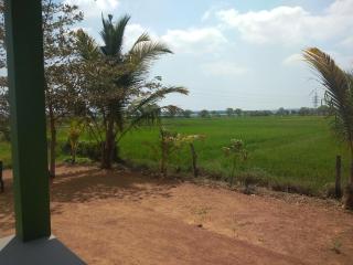 WHY NOT guesthouse - Tissamaharama - 1