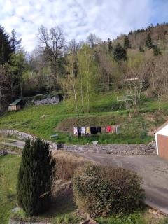 brimbelle - Basse-sur-le-Rupt - 4