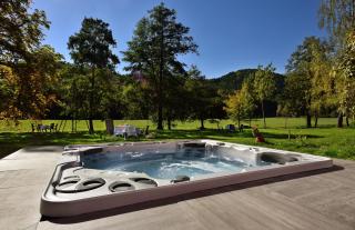 Logis Hotel Des Vosges - Sewen - 4