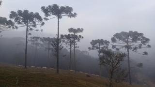 Hospedagem Cabanas do Lago Urubici - Urubici - 7