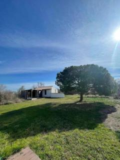 De l'eau et des oiseaux ! - 2