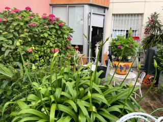 Apparemment Blagnac proche TRAM - Blagnac - 4