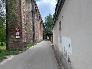 Paradiso verde - Lucca - 4
