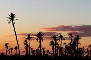 Authentic Family House in the Marrakesh palm grove - Marrakesh - 7