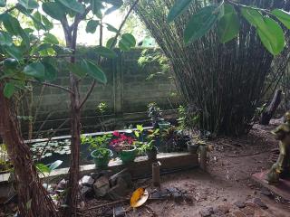Camelia Holiday Resort - Anuradhapura - 4