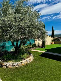La Maison des Tarentes - Brignoles - 2
