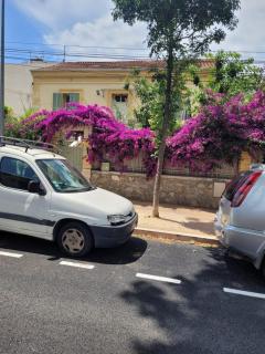 Joli rez de jardin - La Seyne-sur-Mer - 3