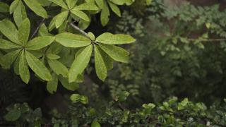 The Gokulam Guest House - 4