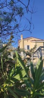 Art House makes u feel like home - Artemida - 0