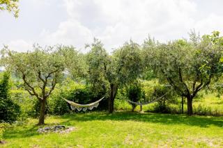 Bubamara - Bed and Breakfast - Lazise - 1