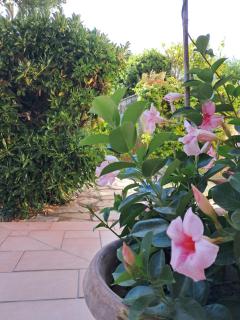 Biancolilla House - 5