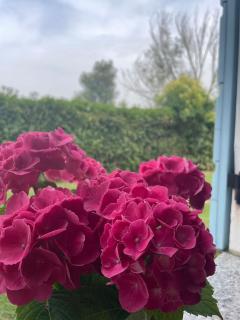 Locazione Riv'al Sile - 9