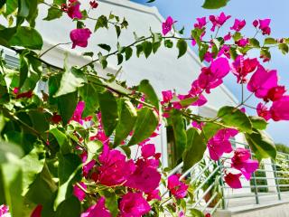 Elea Boutique Villa with private pool by DadoVillas - Acharavi - 8