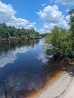 Suwannee River Luxury Home - Branford - 7