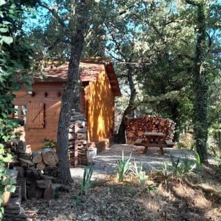 La cabane en bois - Tourves - 8
