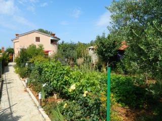 Fazana local family apartment A1 - Fažana - 6