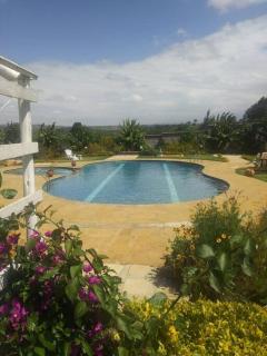 8 bedroom in Nanyuki with pool - Ol Pejeta Conservancy - 6