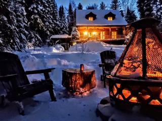 Chalet des Sources SPA Gazebo panoramique - 2