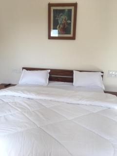 Maan Villa - Jodhpur - 8