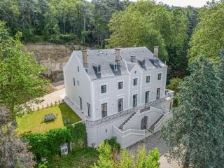 3 - Grand Appartement dans Château & Domaine privé à 15min de Lyon - 0