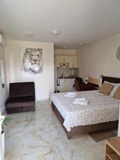 Apartmani Nataly M - Veliko Gradište - 9
