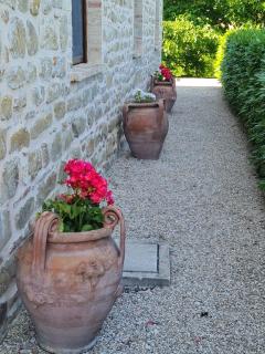 La Mela Rosa Bed & Breakfast - Amandola - 1