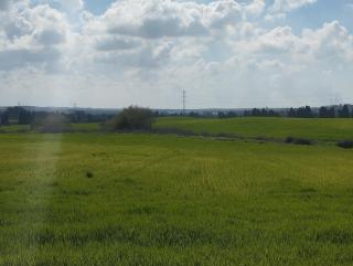 המרחב של נעה באור הנר - - 3