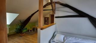 Le Refuge des Libellules -  - 1