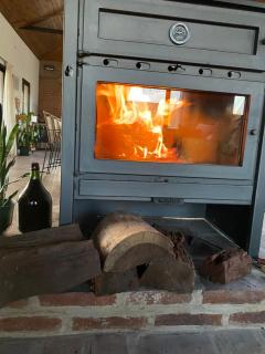 La Pinocha de Ruiz - 5