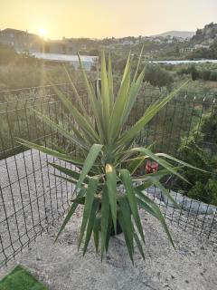 Apartment Kerum Plus Rooftop with Intex Pure Spa - Stobreč - 7