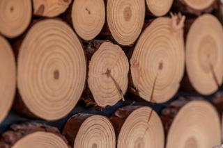 HIRSCH Stadt Apartment 5 - Parkplatz - Zentral - 2