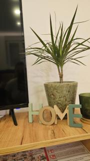 Apartman Noel Sarajevo - Sarajevo - 6