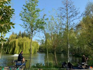 Weston glamping pod - 1