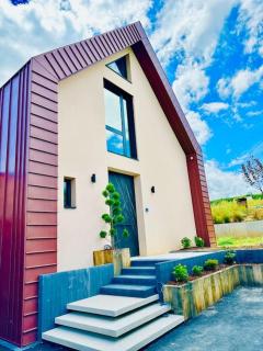 La Villa du Vignoble d Alsace - Bennwihr - 8