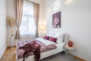 Very Central Large Home with Air Conditioning - Budapest - 8