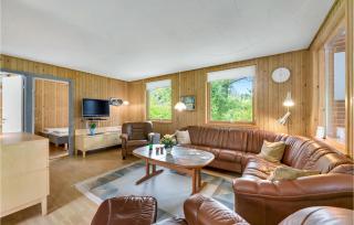 Three-Bedroom Holiday Home In Hemmet - 8