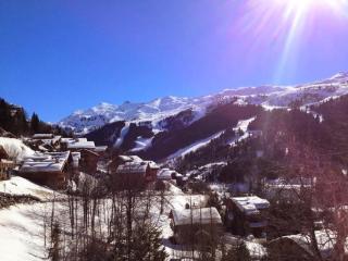 Résidence Jardins D'hiver Du Morel A - Appartement cosy et charmant proche des pistes MAE-4074 - Les Allues - 6