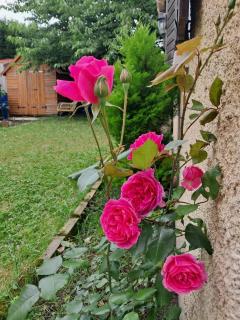 Brand new studio with garden, easy access to Paris - Sartrouville - 2