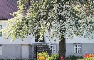 2 Bedroom Beautiful Home In Köpingsvik - Köpingsvik - 5