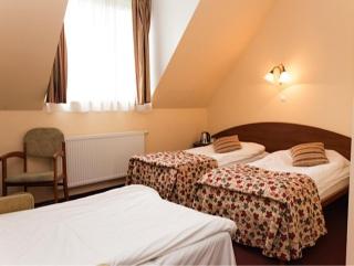 Hotel pod Wierzba - Świdnica - 9