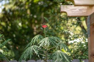 The Coral Cabana - Palm Coast - 1