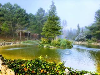 Chalet Esmeralda 3 d y 2 baños ZAFIRO LAGUNAZO Parque Natural Rio Mundo Riopar - Riópar - 4