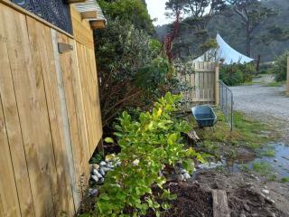 Delightful 1 bedroomed tiny house with sauna - Punakaiki - 8