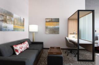SpringHill Suites Denver Parker - Parker - 6